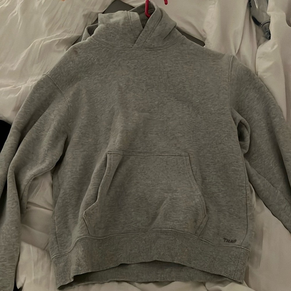 Aritzia gray tna hoodie
